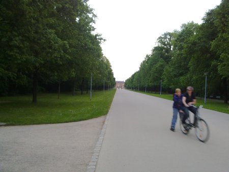 017-11052011805.jpg.medium.jpeg