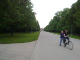 017-11052011805.jpg.small.jpeg