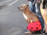 000-BILD5451.JPG.small.jpeg