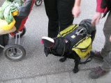 007-BILD5460.JPG.small.jpeg