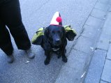 009-BILD5462.JPG.small.jpeg