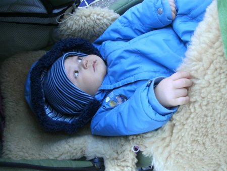 010-BILD5463.JPG.medium.jpeg