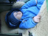010-BILD5463.JPG.small.jpeg