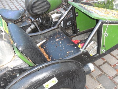 002-BILD5974.JPG.medium.jpeg