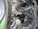 005-BILD5977.JPG.small.jpeg