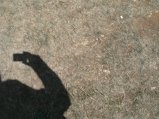../thumbnails/025-BILD6328.JPG.small.jpeg