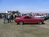 ../thumbnails/046-BILD6349.JPG.small.jpeg