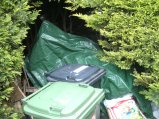 000-BILD5400.JPG.small.jpeg