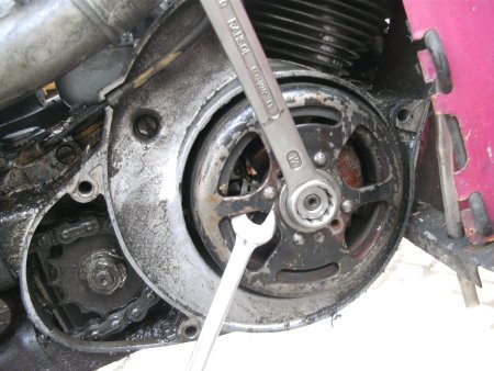 011-BILD5411.JPG.medium.jpeg