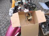 015-BILD5449.JPG.small.jpeg