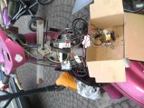 016-BILD5450.JPG.small.jpeg