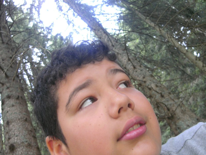 Picture preview