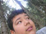 picture thumbnail